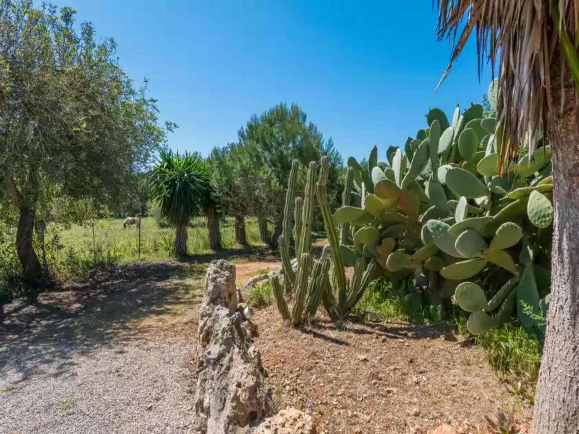 Villa With Private Pool In Inca *